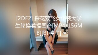 四驱兄弟-D杯旗袍翻版李小璐