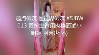 起点传媒 性视界传媒 XSJBW013 假扮主管用肉棒面试小姐姐 羽芮(坏坏)