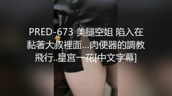 PRED-673 美腿空姐 陷入在黏著大叔裡面…肉便器的調教飛行..星宮一花[中文字幕]