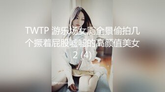 TWTP 游乐场女厕全景偷拍几个撅着屁股嘘嘘的高颜值美女2 (4)