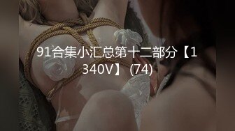 91合集小汇总第十二部分【1340V】 (74)