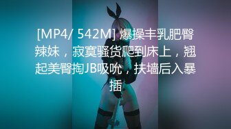 国产AV 蜜桃影像传媒 PMX034 手机激震 欲火焚身 艾玛