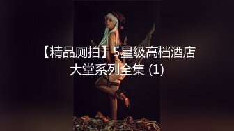 【精品厕拍】5星级高档酒店大堂系列全集 (1)