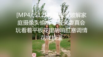 十分耐玩的少妇2