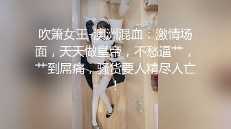 母狗老婆的骚逼2