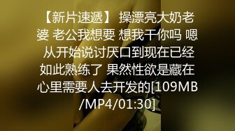 先口后入第二部