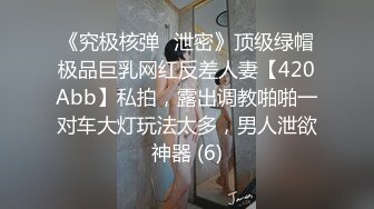 《究极核弹✅泄密》顶级绿帽极品巨乳网红反差人妻【420Abb】私拍，露出调教啪啪一对车大灯玩法太多，男人泄欲神器 (6)