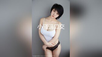 小骚逼口交