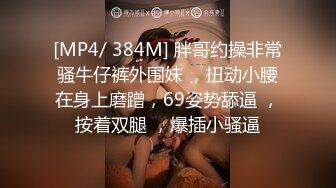 后入圣诞小麋鹿