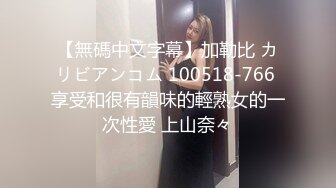 中文字幕 和女神级制服领导上司一起出差工作