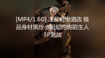 [MP4/1.6G] 淫乱君悦酒店 极品身材黑丝小姐姐约炮陌生人3P激战