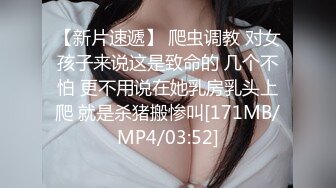 【新片速遞】 爬虫调教 对女孩子来说这是致命的 几个不怕 更不用说在她乳房乳头上爬 就是杀猪搬惨叫[171MB/MP4/03:52]