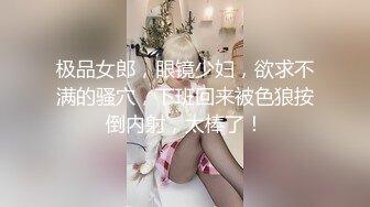 国产AV 蜜桃影像传媒 PM017 车震激干 魔镜号 艾瑞卡