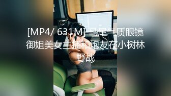 [MP4/539MB]麻豆傳媒 MPG0126 出遊遭隔壁旅客強上 宋東琳