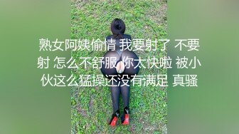 女仆装女奴的散鞭伺候