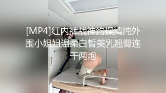 渔网女神来收租了