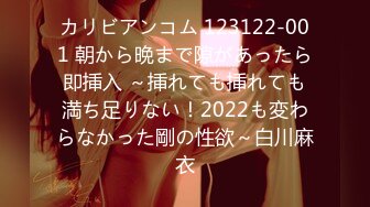 カリビアンコム 123122-001 朝から晩まで隙があったら即挿入 ～挿れても挿れても満ち足りない！2022も変わらなかった剛の性欲～白川麻衣