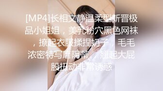 [MP4]长相文静温柔型新晋极品小姐姐，美乳粉穴黑色网袜 ，撩起衣服揉捏奶子，毛毛浓密特写磨阴蒂 ，翘起大屁股扭动非常诱惑