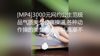 欧美重口味各色素人与半专业女自拍玩法合集【481V】 (113)