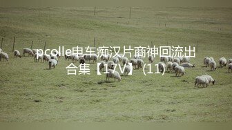 pcolle电车痴汉片商神回流出合集【17V】 (11)