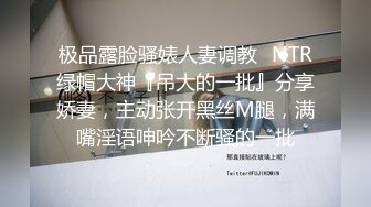 《极品反差✅淫妻泄密》订阅解锁推特火爆淫荡夫妻不雅私拍流出，翘臀骚货公园露出调教啪啪潮喷大号道具紫薇淫水泛滥 (8)