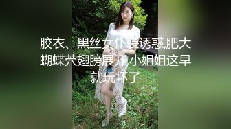 胶衣、黑丝女仆装诱惑,肥大蝴蝶茓翅膀展开,小姐姐这早就玩坏了