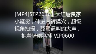 [MP4]STP26363 大红唇良家小骚货，伸进内裤摸穴，超级视角拍摄，舔骚逼叫的大声，抱着骑乘猛插 VIP0600