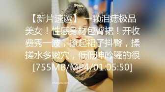 勾搭良家人妻 FC2卖家人妻爱奴 部分中文字幕作品合集【66V】 (49)