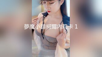 夢魔小鎮柯爾內莉卡 1