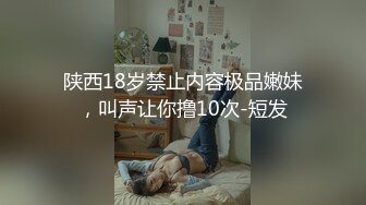 [MP4/7.0G]暹羅童顏巨乳｜Pimnalin｜戶外露出扣穴多道具自慰與男友激情性愛合輯Ⅰ 18V