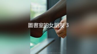 圖書室的女朋友 3