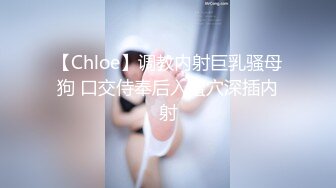 ❤️√极品白虎萝莉美少女 奶兔 反差母狗的粉穴修养 骚兔兔首次肛塞滴蜡调教 开档黑丝猛夹主人肉棒 射在胸上[163MB/MP4/27:52]