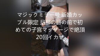 星之迟迟 23年12月计划C明日奈女仆