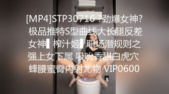 欧美素人户外尿尿系列合集整理.P2【303V】 (20)