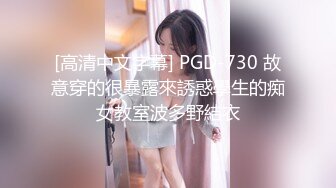 [高清中文字幕] PGD-730 故意穿的很暴露來誘惑學生的痴女教室波多野結衣