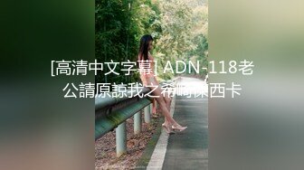 [高清中文字幕] ADN-118老公請原諒我之希崎傑西卡