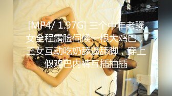 [MP4]麻豆传媒空降女优陪你激情过春节-性感旗袍女神安娜