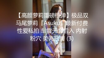 【高颜萝莉重磅核弹】极品双马尾萝莉『Asuku』最新付费性爱私拍 车震无套后入 内射粉穴 美乳翘臀 (3)