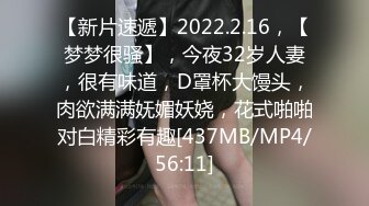 【新片速遞】2022.2.16，【梦梦很骚】，今夜32岁人妻，很有味道，D罩杯大馒头，肉欲满满妩媚妖娆，花式啪啪对白精彩有趣[437MB/MP4/56:11]
