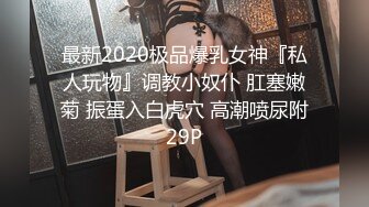 最新2020极品爆乳女神『私人玩物』调教小奴仆 肛塞嫩菊 振蛋入白虎穴 高潮喷尿附29P