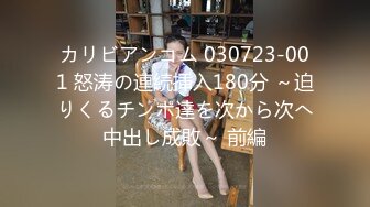 カリビアンコム 030723-001 怒涛の連続挿入180分 ～迫りくるチンポ達を次から次へ中出し成敗～ 前編