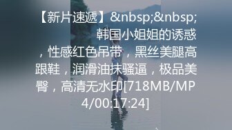 【新片速遞】&nbsp;&nbsp;❤️ ❤️❤️ 韩国小姐姐的诱惑，性感红色吊带，黑丝美腿高跟鞋，润滑油抹骚逼，极品美臀，高清无水印[718MB/MP4/00:17:24]