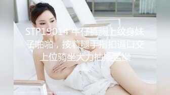 离婚的小骚女