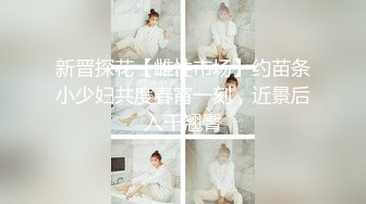 人妻，女仆的诱惑