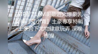 3月最新极品女神【私人玩物】兔头绒衣白丝，超级白皙豪乳粉嫩蜜穴 跳蛋水晶肛塞淫靡又艺术44P1V