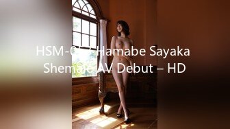 HSM-053 Hamabe Sayaka Shemale AV Debut – HD