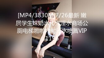 国产麻豆AV MD MD0179 尾随迷奸 新人女优 玥可岚