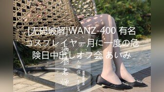 [无码破解]WANZ-400 有名コスプレイヤー月に一度の危険日中出しオフ会 あいみ