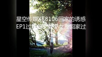 星空传媒XK8106回家的诱惑EP1过年前夕找个女友回家过年