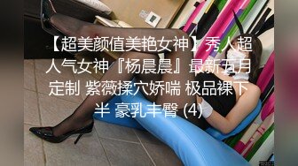 【重磅核弹】超高颜值车模女神【太子妃】SM调教露出啪啪 第一部